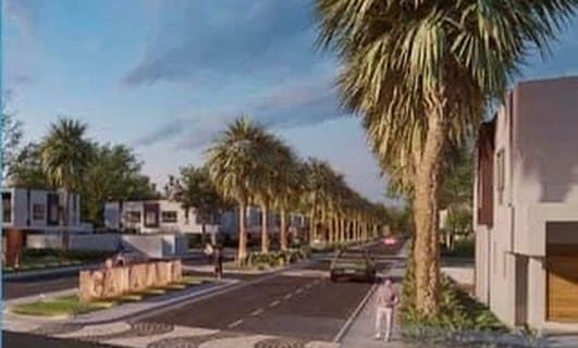 CANA ALTA By DAMANI DELUXE