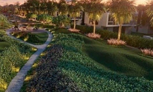 CANA ALTA By DAMANI DELUXE