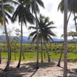 Terreno en Venta en Miches